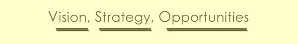 Vision, Strategy, Opportunities